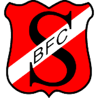 Vereinslogo-Berliner-FC-Suedring.png