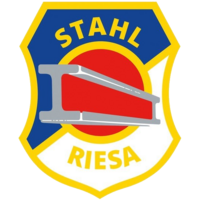 Logo-BSG-Stahl-Riesa.png